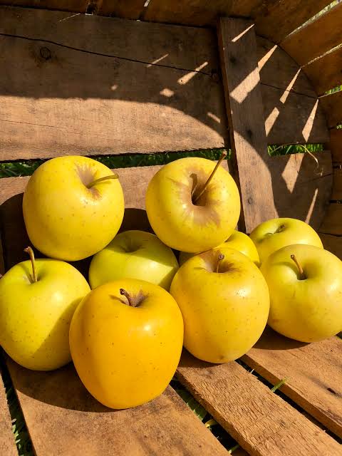 Pommes Golden